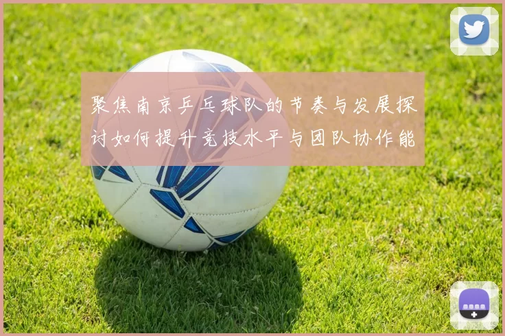 聚焦南京乒乓球队的节奏与发展探讨如何提升竞技水平与团队协作能力