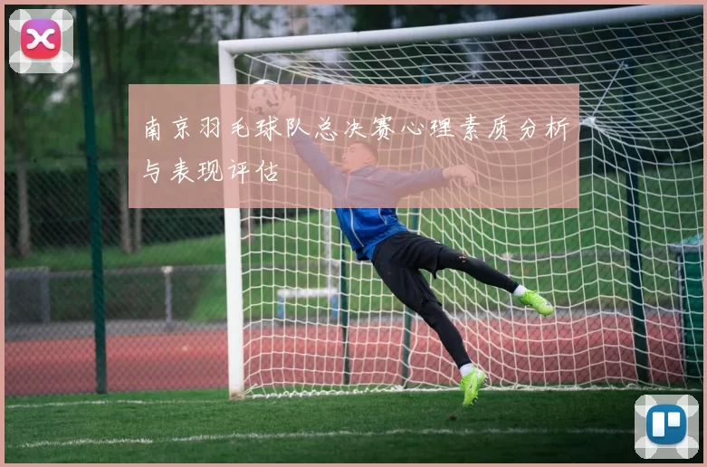 南京羽毛球队总决赛心理素质分析与表现评估