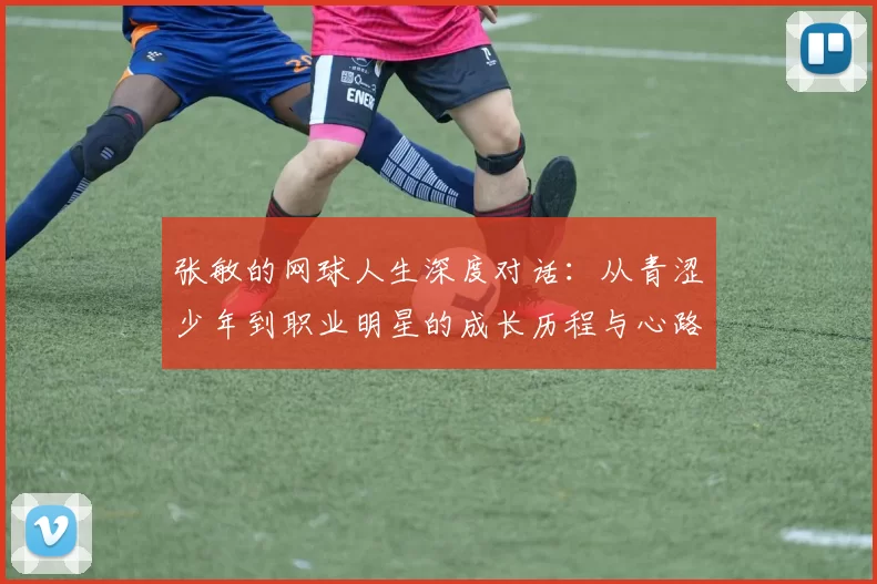 张敏的网球人生深度对话：从青涩少年到职业明星的成长历程与心路历程