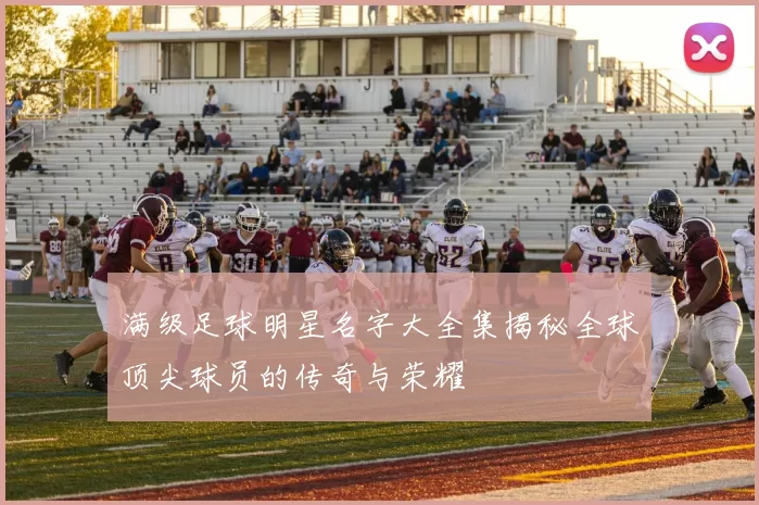 满级足球明星名字大全集揭秘全球顶尖球员的传奇与荣耀