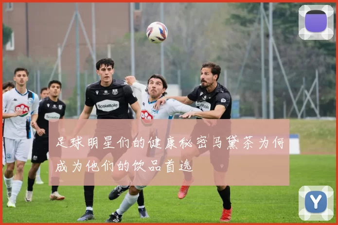 足球明星们的健康秘密马黛茶为何成为他们的饮品首选
