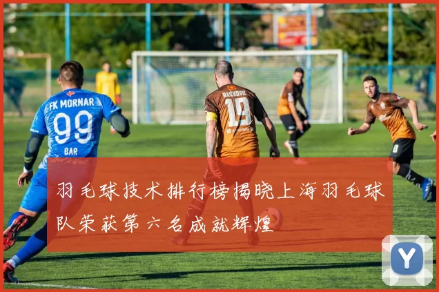 羽毛球技术排行榜揭晓上海羽毛球队荣获第六名成就辉煌