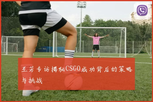 王芳专访揭秘CSGO成功背后的策略与挑战