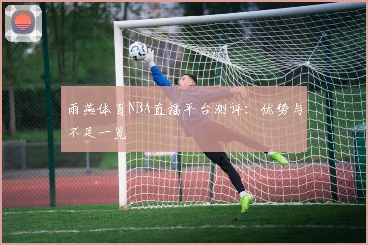 雨燕体育NBA直播平台测评：优势与不足一览