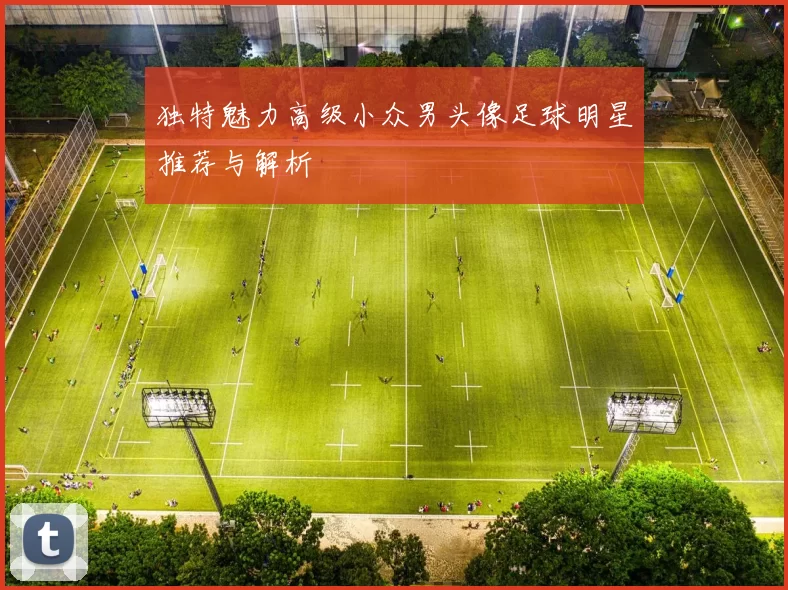 独特魅力高级小众男头像足球明星推荐与解析
