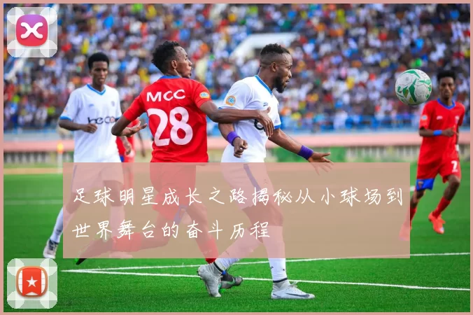 足球明星成长之路揭秘从小球场到世界舞台的奋斗历程