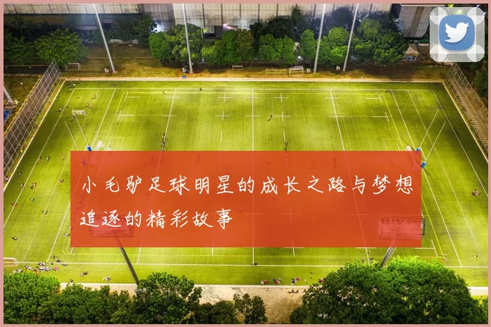 小毛驴足球明星的成长之路与梦想追逐的精彩故事