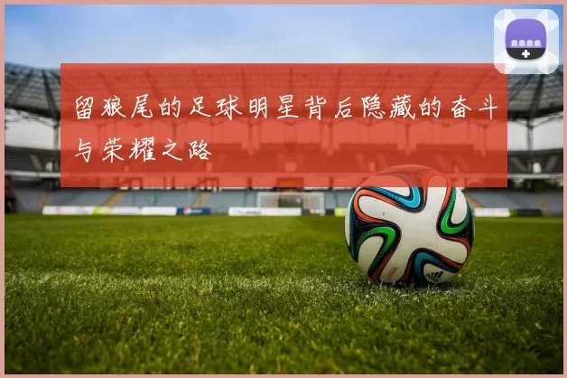 留狼尾的足球明星背后隐藏的奋斗与荣耀之路