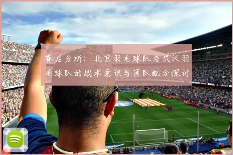 赛后分析：北京羽毛球队与武汉羽毛球队的战术意识与团队配合探讨