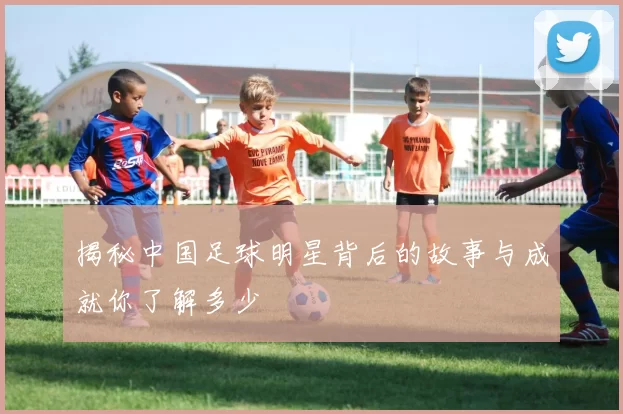揭秘中国足球明星背后的故事与成就你了解多少