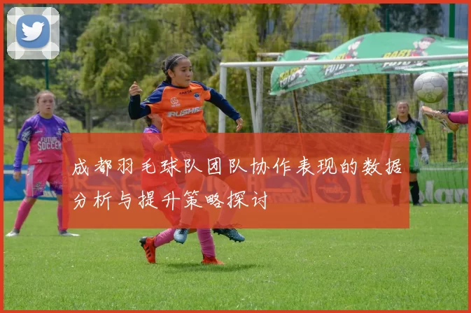 成都羽毛球队团队协作表现的数据分析与提升策略探讨