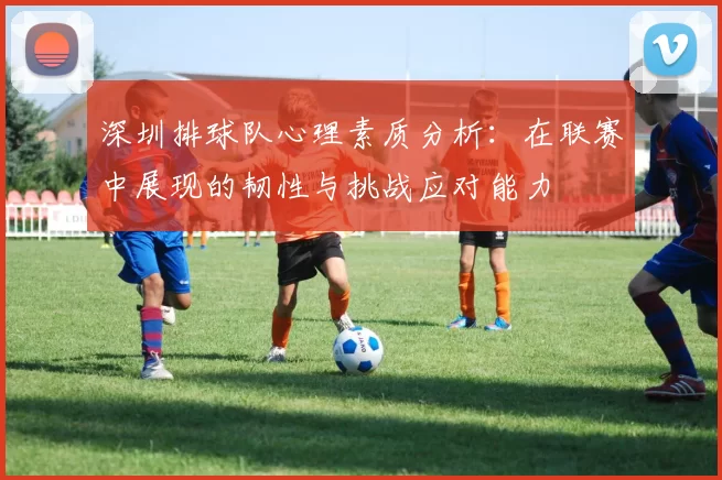 深圳排球队心理素质分析：在联赛中展现的韧性与挑战应对能力
