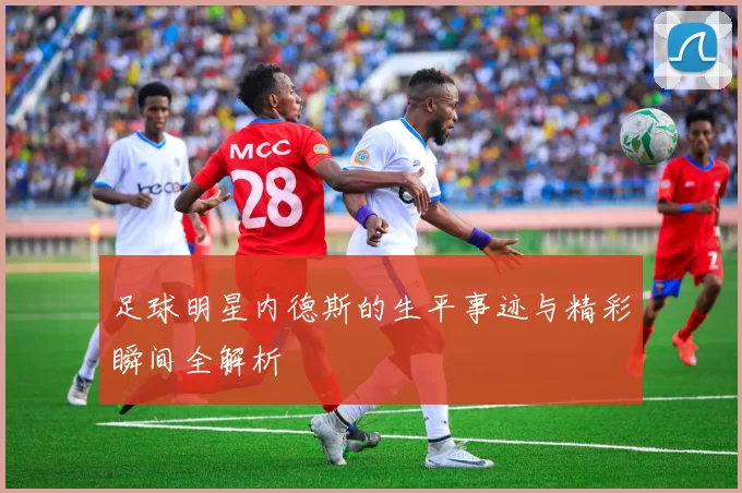 足球明星内德斯的生平事迹与精彩瞬间全解析