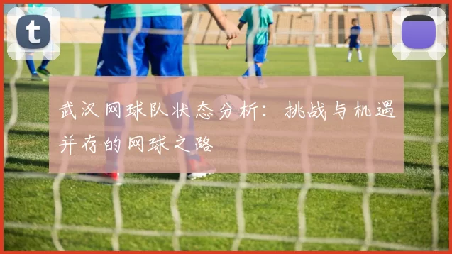 武汉网球队状态分析：挑战与机遇并存的网球之路