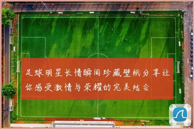 足球明星长情瞬间珍藏壁纸分享让你感受激情与荣耀的完美结合