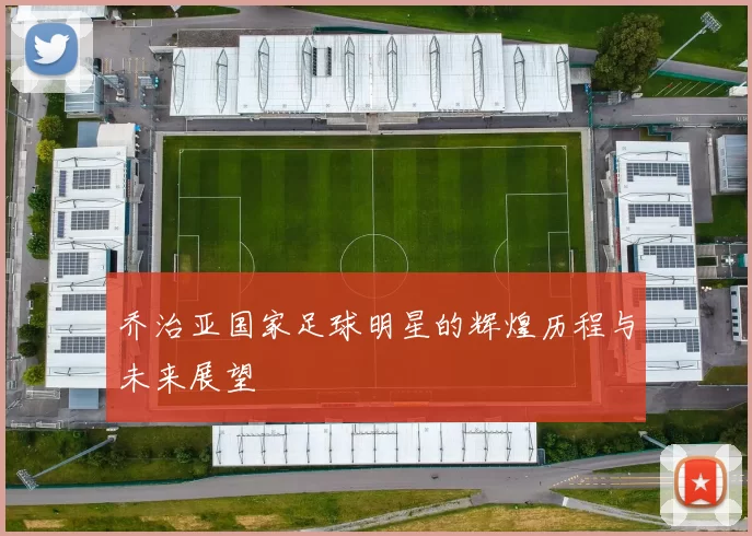 乔治亚国家足球明星的辉煌历程与未来展望