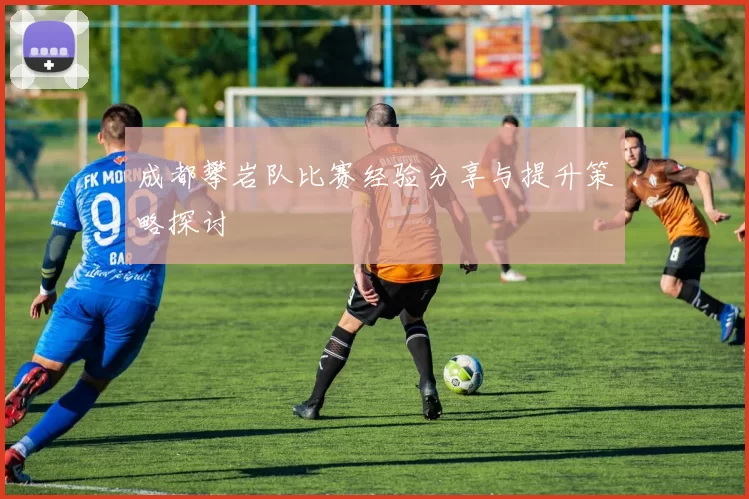 成都攀岩队比赛经验分享与提升策略探讨