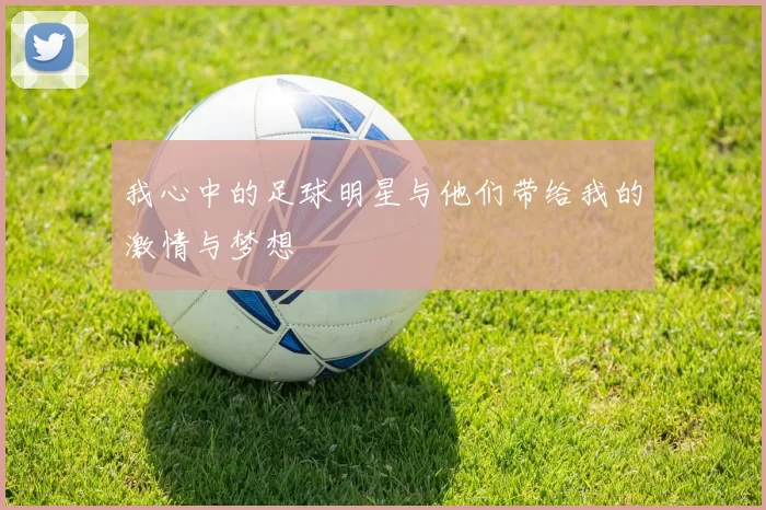 我心中的足球明星与他们带给我的激情与梦想