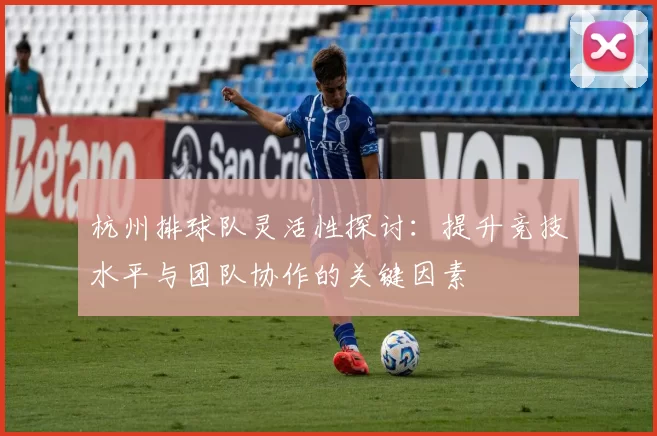 杭州排球队灵活性探讨：提升竞技水平与团队协作的关键因素