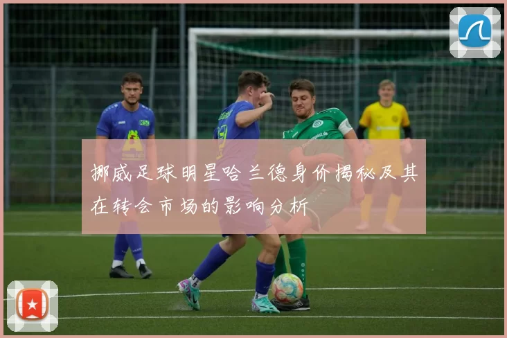 挪威足球明星哈兰德身价揭秘及其在转会市场的影响分析