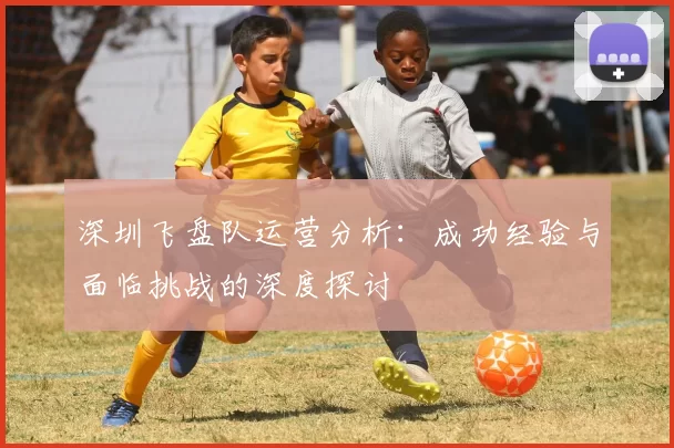 深圳飞盘队运营分析：成功经验与面临挑战的深度探讨