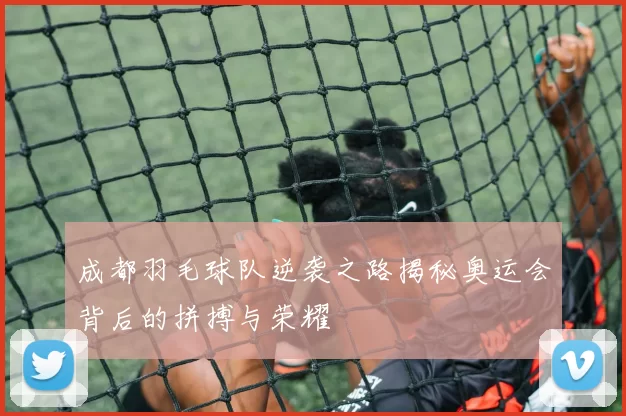 成都羽毛球队逆袭之路揭秘奥运会背后的拼搏与荣耀