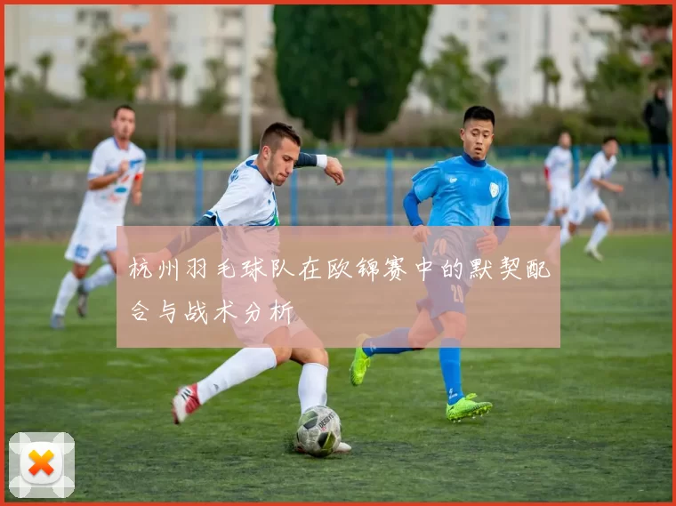 杭州羽毛球队在欧锦赛中的默契配合与战术分析