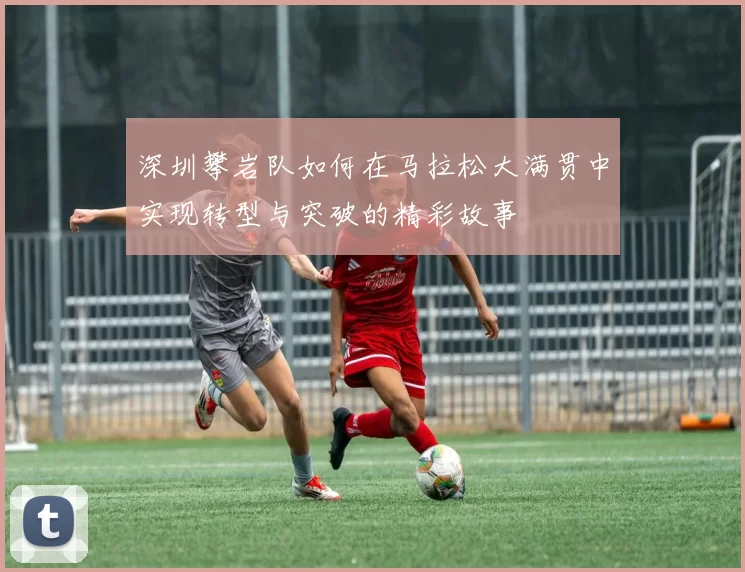 深圳攀岩队如何在马拉松大满贯中实现转型与突破的精彩故事