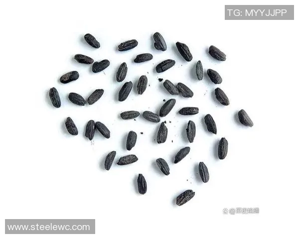 大米在全球饮食文化中的重要性与健康价值分析