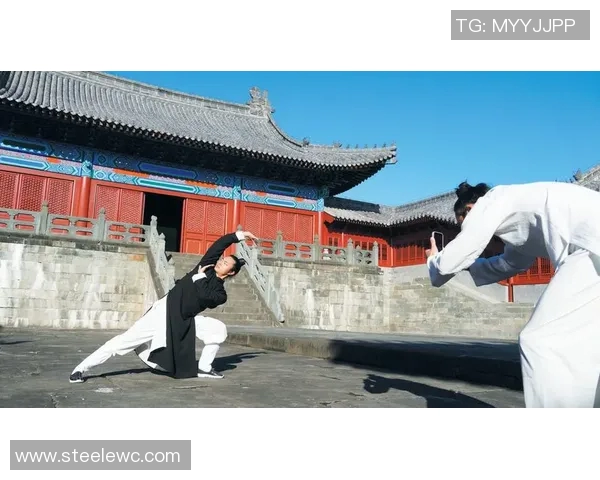 武术文化传承与创新探索：从传统技艺到现代发展之路